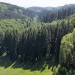 Hamlet is located at the head of this wooded valley